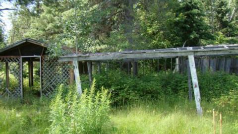 Gallery - DSC02524.jpg