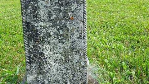 Family Tree - Carmel-Methodist10.jpg