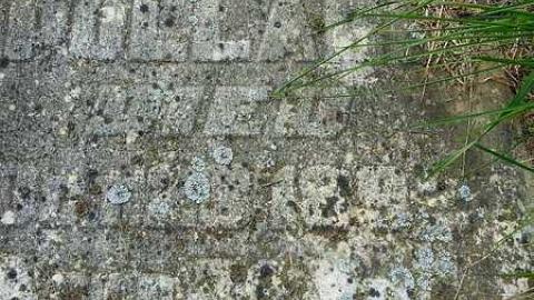 Family Tree - Carmel-Methodist11.jpg