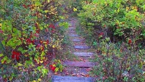 Photo from Train Swing Bridge