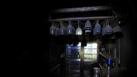 Island - IMG_3185.jpg