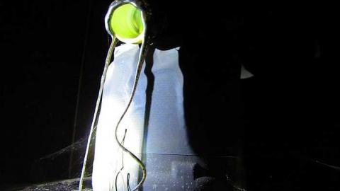 Island - IMG_3196.jpg