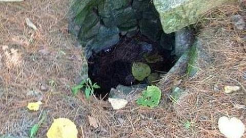 BeiersSwampFarm after 130 yrs  - Kilworthy-and-Store49.jpg