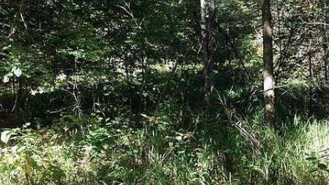 BeiersSwampFarm after 130 yrs  - Kilworthy-and-Store53.jpg