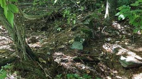 BeiersSwampFarm after 130 yrs  - Kilworthy-and-Store54.jpg