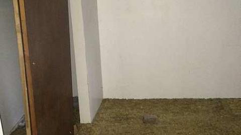 Photo from October 2016