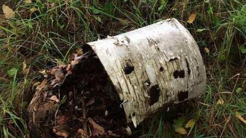 Recent House On Trafalgar photo 3