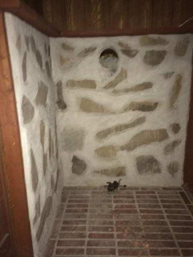 Recent House On Trafalgar photo 5