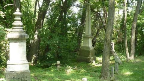 Wilson's Hill Cemetery photo 2