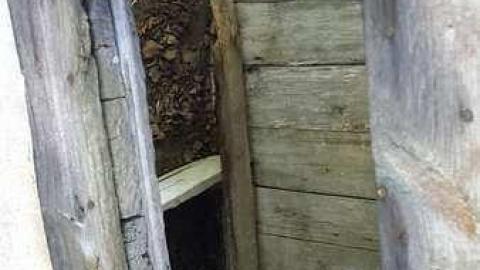 Photo from Josephine