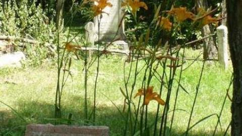 Wilson's Hill - Wilsons-Hill-Cemetery53.jpg