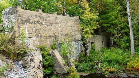 Skoot - Dam-the-Skoot25.jpg