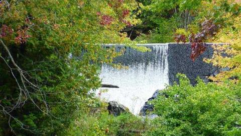 Skoot - Dam-the-Skoot3.jpg