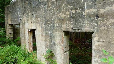 Skoot - Dam-the-Skoot4.jpg