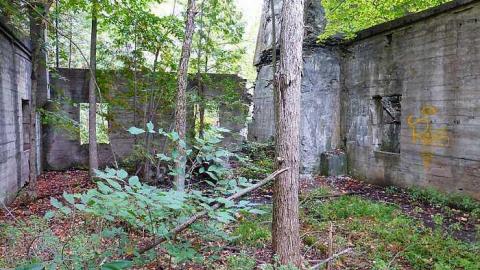 Skoot - Dam-the-Skoot27.jpg