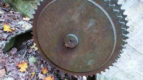 Skoot - Dam-the-Skoot8.jpg