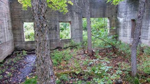 Skoot - Dam-the-Skoot10.jpg