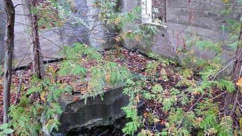 Skoot - Dam-the-Skoot11.jpg