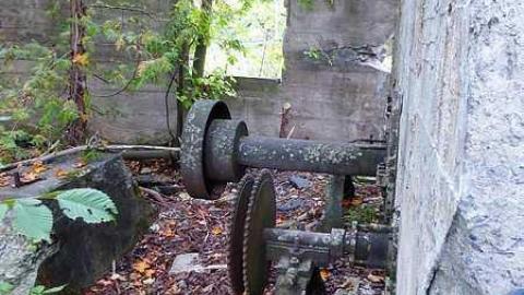 Skoot - Dam-the-Skoot12.jpg