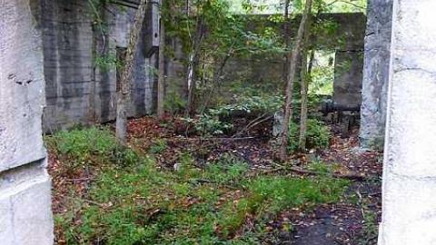 Skoot - Dam-the-Skoot14.jpg