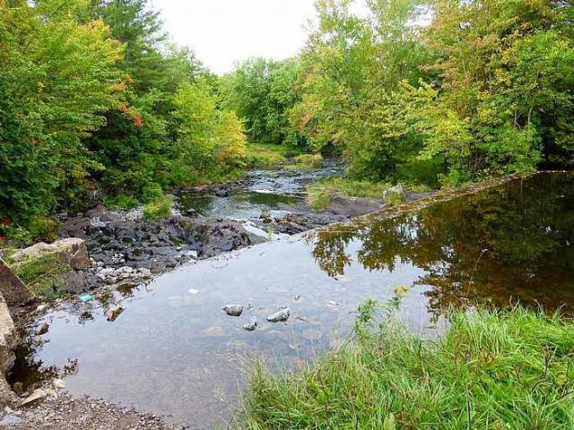 Dam the Skoot photo 4