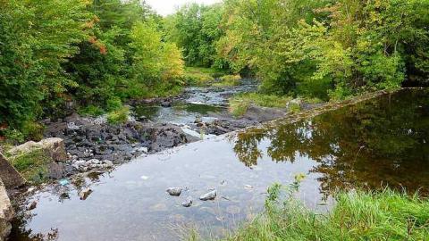 Skoot - Dam-the-Skoot15.jpg