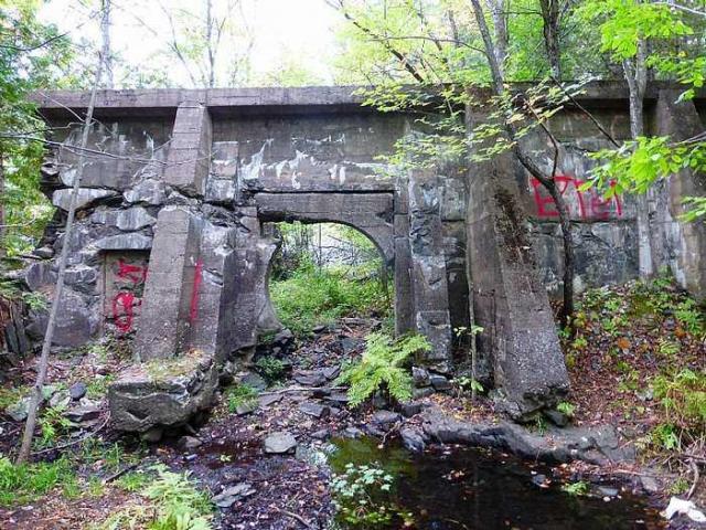 Dam the Skoot photo 2