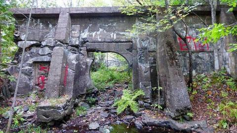 Skoot - Dam-the-Skoot18.jpg