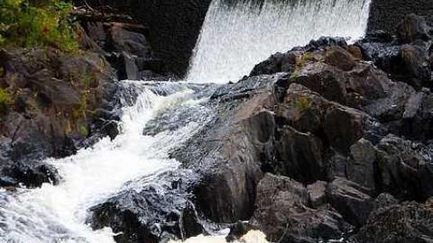 Skoot - Dam-the-Skoot19.jpg