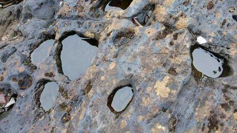 Skoot - Dam-the-Skoot21.jpg