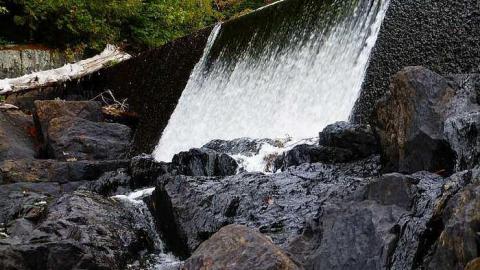 Skoot - Dam-the-Skoot23.jpg