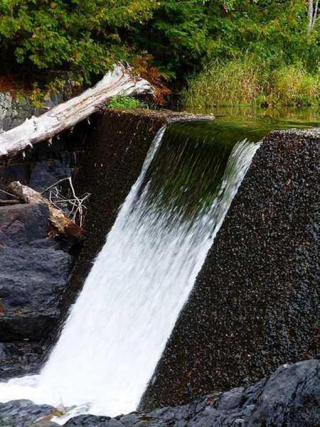 Dam the Skoot photo 5