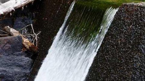 Dam the Skoot photo 5