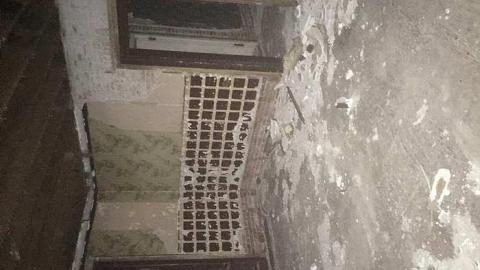 Thanksgiving '16 - IMG_0504.jpg