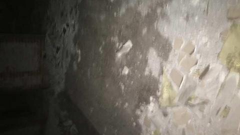 Thanksgiving '16 - IMG_0510.jpg