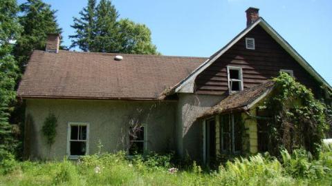 Gallery - DSC02534.jpg