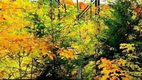 Photo from Mont Tyrol