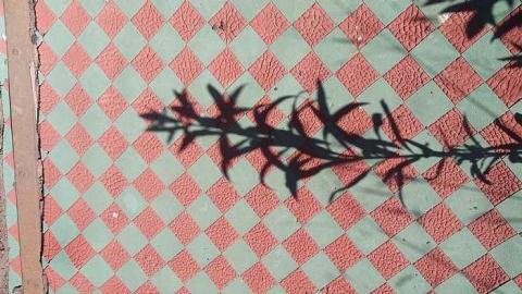 Photo from Old Train Cart