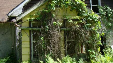 Gallery - DSC02535.jpg