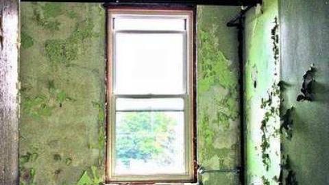 Creepy Hospital - Window.jpg