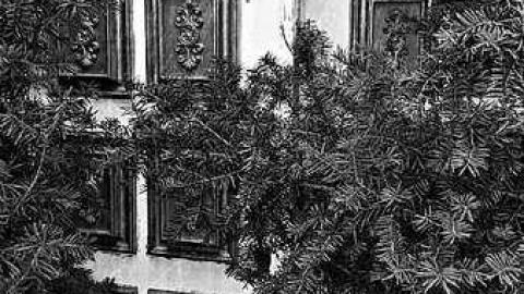 Satan's Graffiti - b-arthurchurch5.jpg