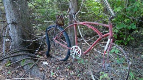 Gallery - DSC02536.jpg