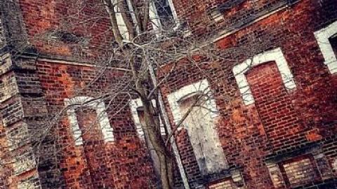 Century Manor - Century-Manor-Asylum249.jpg