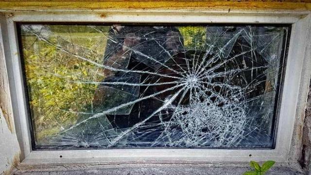 Glass Door House - 05.jpg