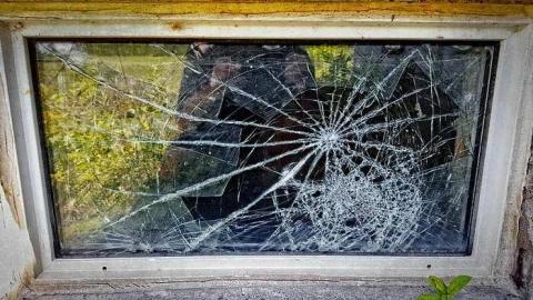 Photo from Glass Door House