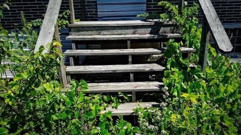 Photo from Glass Door House