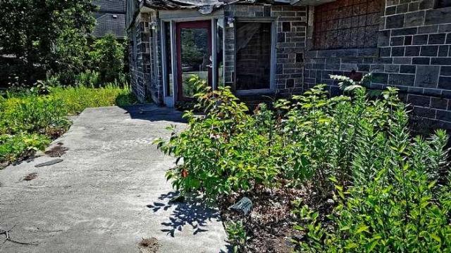 Glass Door House - 11.jpg