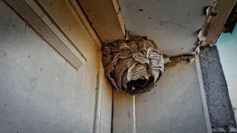 Glass Door House - 12.jpg