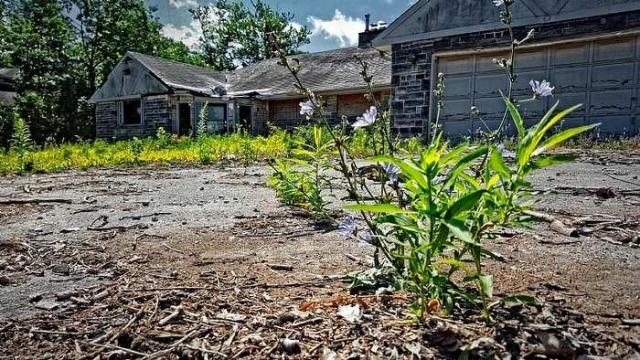 Glass Door House - 15.jpg