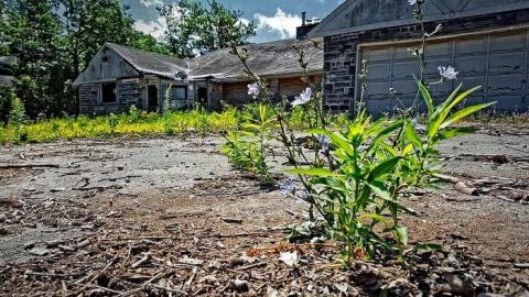 Glass Door House - 15.jpg